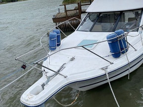 Bayliner 