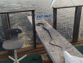 Omavalmiste Telakalla tehty