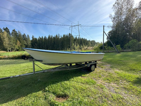 Lujitemuovivene 