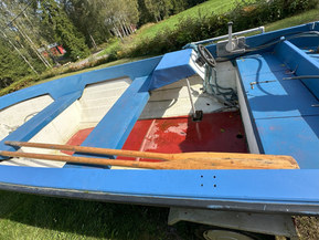 Lujitemuovivene 