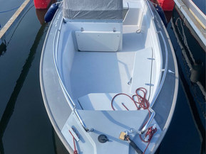 Silver Fox Avant 485