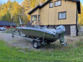 Silver Hawk 540 BR