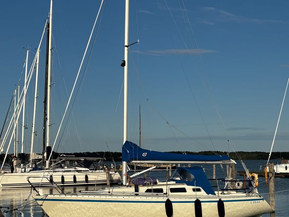 Finn Flyer 31