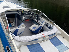 Sea Ray 22 Pachanga
