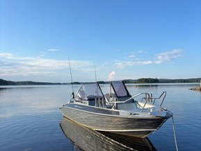 Silver Hawk 540 BR