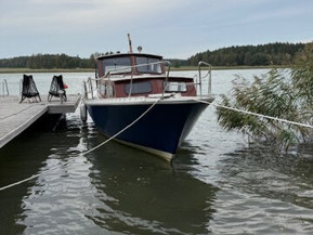 Family Cruiser Other