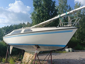 Balans 65