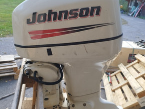 Johnson Sea Horse