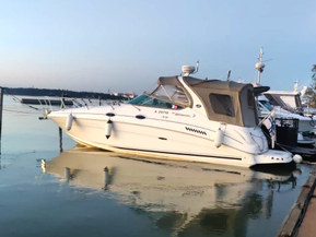 Sea Ray 315 Sundancer