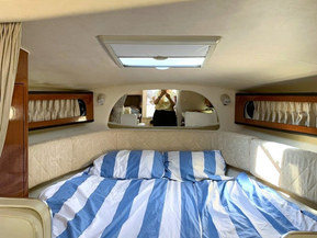 Sea Ray 315 Sundancer