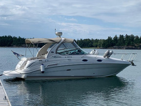 Sea Ray 315 Sundancer