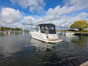 Sea Ray 335 Sundancer