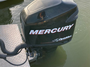 Mercury Optimax 225