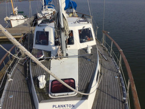 Seacat 
