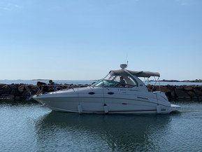 Sea Ray 315 Sundancer