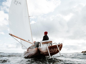 Mälarkryssare Other