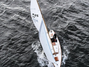 Mälarkryssare Other