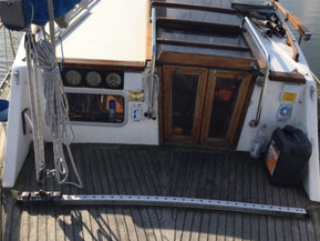 Seacat 