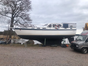 Seacat 