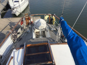 Seacat 
