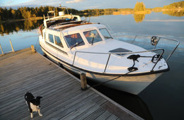 Flying Albatross Muu malli