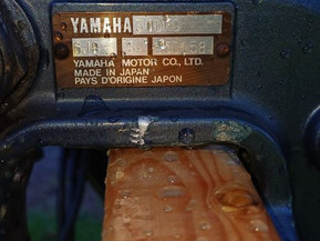 Yamaha 30 deo