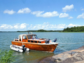 Omavalmiste Muu malli