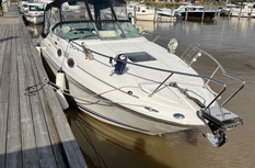 Sea Ray 260 Sundancer