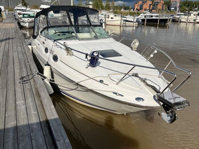 Sea Ray 260 Sundancer