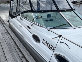 Sea Ray 260 Sundancer