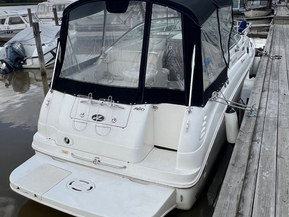 Sea Ray 260 Sundancer