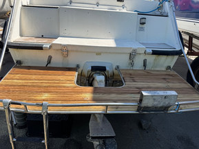 SeaStar 7000 Cruiser