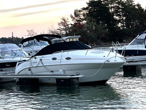 Sea Ray 255 Sundancer