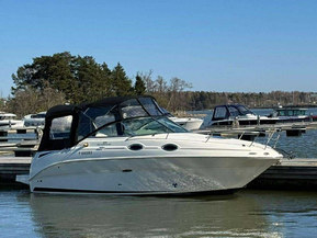 Sea Ray 255 Sundancer