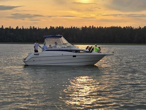 Bayliner Ciera 2655
