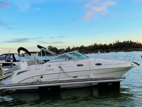 Sea Ray 255 Sundancer
