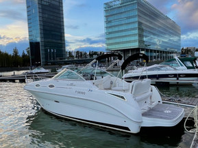 Sea Ray 255 Sundancer