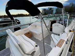 Sea Ray 255 Sundancer