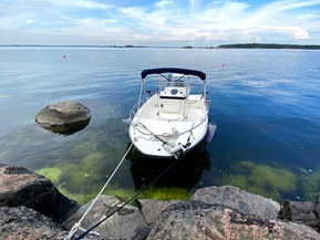 Boston Whaler 200 Dauntless