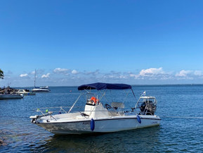 Boston Whaler 200 Dauntless