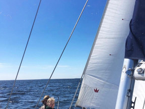 Seacat 
