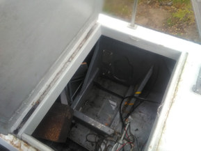 Lujitemuovivene Other