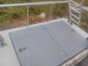 Lujitemuovivene Other