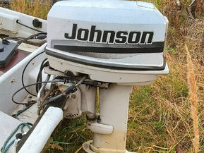 Johnson 