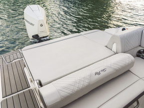 Sea Ray 250 SDX Outboard