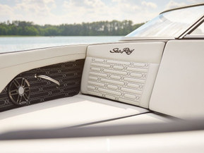 Sea Ray 190 SPX