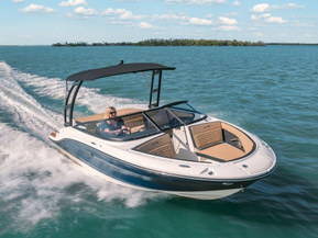 Sea Ray 190 SPX