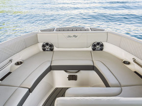 Sea Ray 250 SDX Outboard