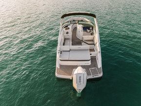 Sea Ray 250 SDX Outboard