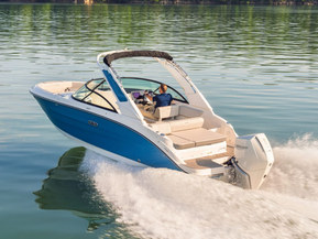 Sea Ray 250 SDX Outboard